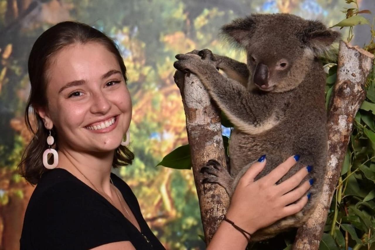 Cairns Koalas and Creatures at the Pier Admission Ticket with 1 Koala Photo - main image